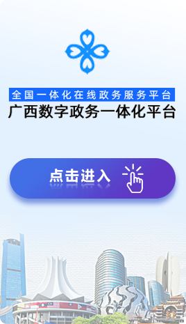 广西数字政务一体化平台