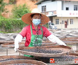 非遗豆豉晒出特色产业“金名片” 年销售额突破400万元